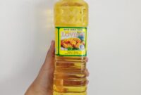 Minyak Argan – Rawat Rambut Rosak Secara Semula Jadi