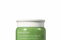 Pelembap Innisfree Green Tea – Masih Relevan Tahun Ini?